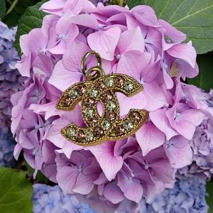 Nwot CC Stamped Pink & Silver Rhinestone Pendant necklace with gold-tone chain